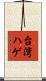 台湾ハゲ Scroll