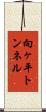 向ヶ平トンネル Scroll