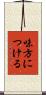 味方につける Scroll