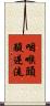 咽喉頭酸逆流 Scroll