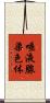 唾液腺染色体 Scroll