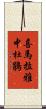 喜馬拉雅中杜鵑 Scroll