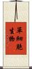 單細胞生物 Scroll