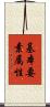 基本要素属性 Scroll