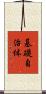 基礎自治体 Scroll