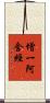 增一阿含經 Scroll