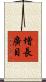增長廣目 Scroll