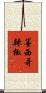 墨西哥辣椒 Scroll