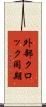 外部クロック同期 Scroll