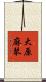 大原麻琴 Scroll