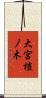 大宮榿ノ木 Scroll
