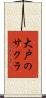 大戸のサクラ Scroll