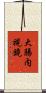大腸内視鏡 Scroll