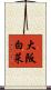 大阪白菜 Scroll