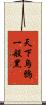 天下烏鴉一般黑 Scroll