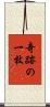 奇跡の一枚 Scroll