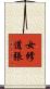 女修道張 Scroll