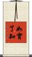 如實了知 Scroll