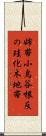 姉帯小鳥谷根反の珪化木地帯 Scroll