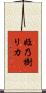 姫乃樹リカ Scroll