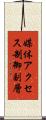 媒体アクセス制御副層 Scroll
