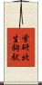 学研北生駒駅 Scroll