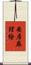 安彦麻理絵 Scroll