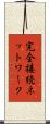 完全接続ネットワーク Scroll