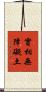 實相無障礙土 Scroll