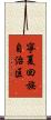 寧夏回族自治区 Scroll