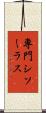 専門シソーラス Scroll