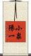 小泉陽一 Scroll