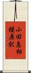 小田急相模原駅 Scroll