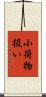 小荷物扱い Scroll