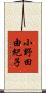 小野田由紀子 Scroll