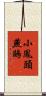 小鳳頭燕鷗 Scroll