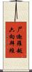 尸迦羅越六向拜經 Scroll
