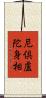 尼倶盧陀身相 Scroll