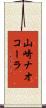 山崎ナオコーラ Scroll