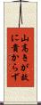 山高きが故に貴からず Scroll