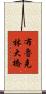 布魯克林大橋 Scroll