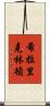 希拉里·克林頓 Scroll