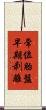 常位胎盤早期剥離 Scroll