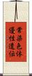 常染色体優性遺伝 Scroll