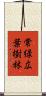 常緑広葉樹林 Scroll