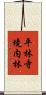 平林寺境内林 Scroll