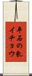平石の乳イチョウ Scroll