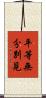 平等無分別見 Scroll