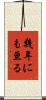 幾年にも亘る Scroll