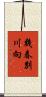 幾春別川向 Scroll